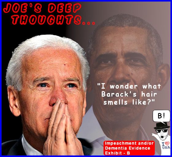 joes-deep-thoughts-barack.jpg